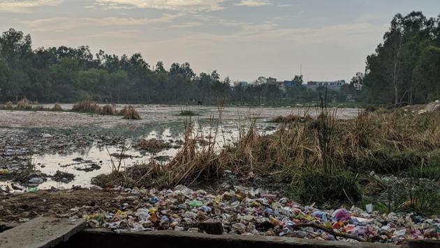 Of the 474 ponds in Dadri, at least 150 have been encroached upon and converted into illegal residential colonies.(HT Photo)