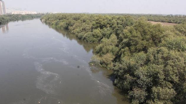 The state forest department approved to grant around 1.44 acre (0.58 hectare) of mangrove forest land to the Mumbai Metropolitan Region Development Authority (MMRDA) for constructing a six-lane bridge over the Ulhas creek connecting Thane and Dombivli.(Praful Gangurde/ Hindustan Times)