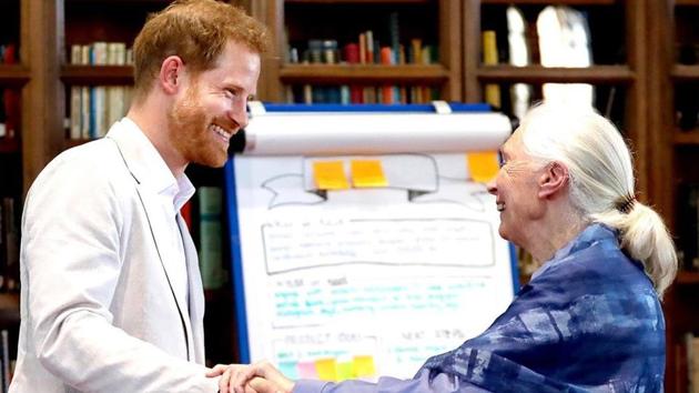 The Duke and Duchess of Sussex’s official Instagram page shared the video of Harry’s sweet gesture. The Duke and Duchess of Sussex’s official Instagram page shared the video of Harry’s sweet gesture.