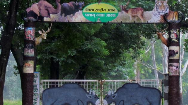 Jharkhand's only home for tigers stares at bleak future on International Tiger Day - Hindustan Times Jharkhand's only home for tigers stares at bleak future on International Tiger Day - Hindustan Times