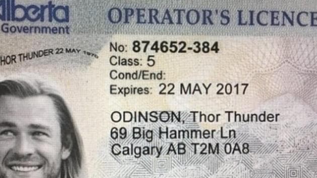 Twitter is buzzing with questions about the licence.(Twitter/@cottoncandaddy) Twitter is buzzing with questions about the licence.(Twitter/@cottoncandaddy)
