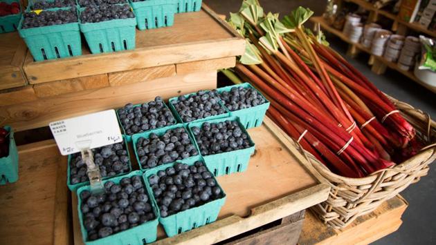 Produce, including blueberries and rhubarb, are seen at Amber Waves Farm. Amanda Merrow co-runs the farm with Katie Baldwin, whom she met during an apprenticeship program. Merrow said she had, quite simply, enrolled in the apprenticeship “with the intention of doing something else after,” but she fell in love with farming and couldn’t imagine doing anything else. (Lindsay Morris / REUTERS) Produce, including blueberries and rhubarb, are seen at Amber Waves Farm. Amanda Merrow co-runs the farm with Katie Baldwin, whom she met during an apprenticeship program. Merrow said she had, quite simply, enrolled in the apprenticeship “with the intention of doing something else after,” but she fell in love with farming and couldn’t imagine doing anything else. (Lindsay Morris / REUTERS)