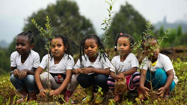 Young Ethiopian girls take part in a national tree-planting drive in the capital Addis Ababa, Ethiopia. The country plans to plant four billion trees by October 2019, as part of a global movement to restore forests, fight climate change and protect resources. The country says it has planted nearly three billion trees already since May with over 350 million on a single day recently. (Michael Tewelde / AFP) Young Ethiopian girls take part in a national tree-planting drive in the capital Addis Ababa, Ethiopia. The country plans to plant four billion trees by October 2019, as part of a global movement to restore forests, fight climate change and protect resources. The country says it has planted nearly three billion trees already since May with over 350 million on a single day recently. (Michael Tewelde / AFP)