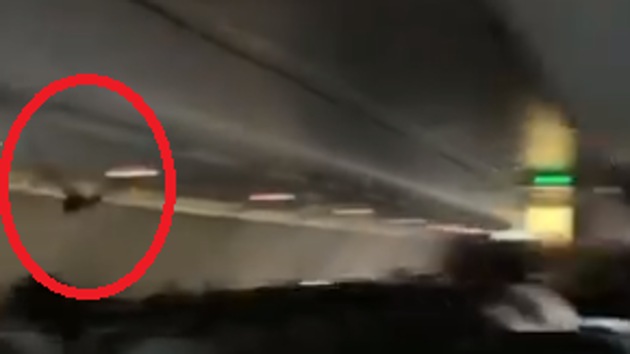 The bat, which somehow entered the flight, created a commotion inside the plane’s cabin.(Twitter/@adrilisasmiddle)