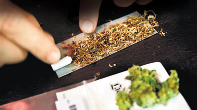 The police arrested a 50-year-old woman late Friday in Sirhaul for allegedly possessing 3.6 kilograms of marijuana. (Representative Image) (REUTERS) The police arrested a 50-year-old woman late Friday in Sirhaul for allegedly possessing 3.6 kilograms of marijuana. (Representative Image) (REUTERS)
