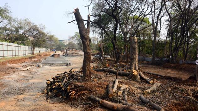 Trees at Salim Ali Sanctuary were cut down to make way for Pune Metro.(HT/PHOTO)