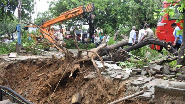 Cleanup work seen after a huge tree fell due to the rain at Palam Vihar road near Sector-23, Huda, market, in Gurugram. “In the absence of much moisture and a Western Disturbance, the last few days have seen high humidity. However, the monsoon trough is likely to shift towards south Haryana. This is expected to bring more rainfall to Gurugram and Faridabad,” IMD scientist Kuldeep Srivastava said. (Yogesh Kumar / HT Photo) 