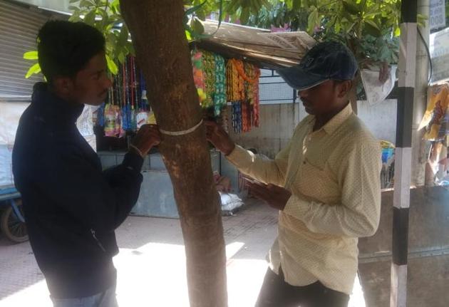 PMC had invited bids for a tender to undertake a tree census in 2015. (HT PHOTO) PMC had invited bids for a tender to undertake a tree census in 2015. (HT PHOTO)