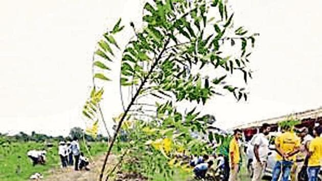 New Delhi, India- Sept 08, 2018: People plant a sapling in the Yamuna flood plains after Delhi CM Arvind Kejriwal launched a mega tree plantation drive at Usmanpur village near Shastri park, in north-east Delhi, India on Saturday, September 08, 2018. (Photo by Sonu Mehta/ Hindustan Times) New Delhi, India- Sept 08, 2018: People plant a sapling in the Yamuna flood plains after Delhi CM Arvind Kejriwal launched a mega tree plantation drive at Usmanpur village near Shastri park, in north-east Delhi, India on Saturday, September 08, 2018. (Photo by Sonu Mehta/ Hindustan Times)