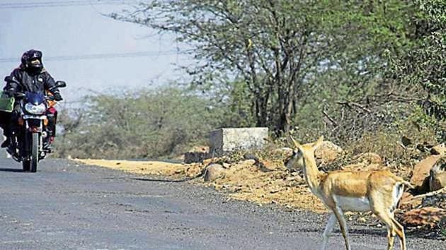 The app will record all rescue operations, along with its location and provide inputs to assess man-animal conflicts.(HT Archive)