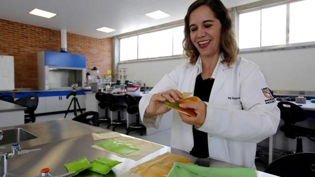 The cacti Pascoe uses for her experiments come from San Esteban, a small town on the outskirts of Guadalajara, where they grow by the hundreds. San Esteban is located in Jalisco state where, starting next year, single-use non-recyclable plastic bags, straws and other disposable items will be banned. (Ulises Ruiz / AFP)