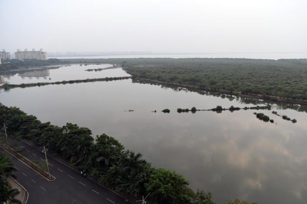In order for new areas to be designated as wetlands, they must be identified as such by the state.(HT Photo) In order for new areas to be designated as wetlands, they must be identified as such by the state.(HT Photo)