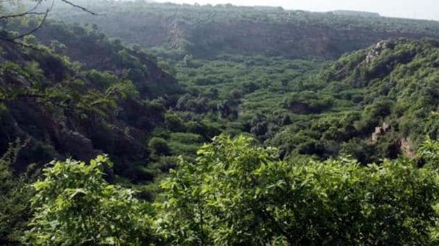 Officials also said that the forest will have all the components of a sustainable ecosystem, such as native plant varieties and water bodies, which will be strategically located in high recharge zones to trap rainwater coming from the Aravallis.(Manoj Kumar/ Hindustan Times)