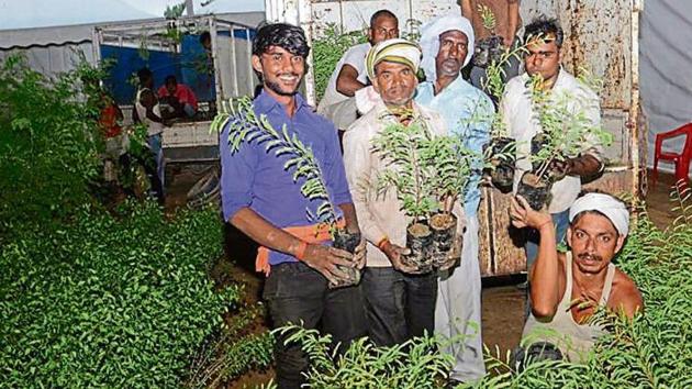 Saplings being brought for distribution at Parade Ground in Prayagraj on Thursday, August 8, 2019. (HT Photo) Saplings being brought for distribution at Parade Ground in Prayagraj on Thursday, August 8, 2019. (HT Photo)