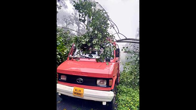 A truck is stuck under a fallen tree amid heavy rain in Cheruthoni. The Cochin International Airport, where flight operations were suspended till midnight Friday after floodwaters inundated the apron area (parking), will remain closed till 3 pm on Sunday. However, the CM Vijayan said that Kochi naval base can be used as temporary airport and the talks with the navy are on. (ANI)