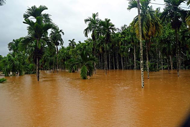A view of the flooded area after heavy rain in Kerala on Friday. In neighbouring Tamil Nadu, Bhavani, Noyyal and Amaravathi rvers have been flooded leading to displacement of several people. (ANI Photo) A view of the flooded area after heavy rain in Kerala on Friday. In neighbouring Tamil Nadu, Bhavani, Noyyal and Amaravathi rvers have been flooded leading to displacement of several people. (ANI Photo)