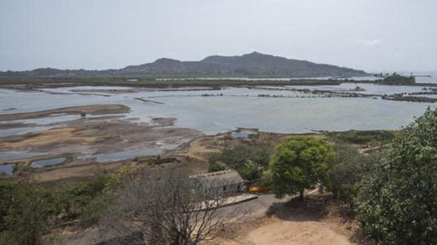 Environmentalists have questioned the state mangrove and wetland panel’s claim that Panje is not a wetland. (Reptresentative Image)(Pratik Chorge/HT Photo)