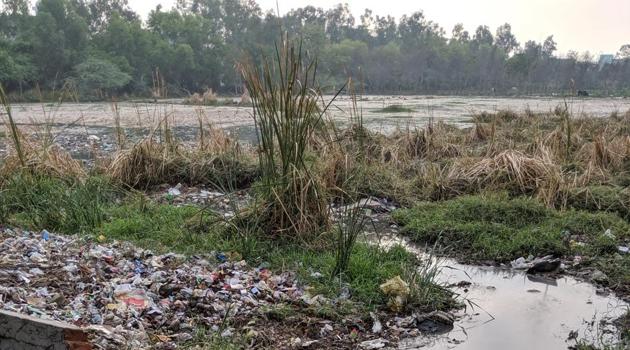 In a month-long drive starting June 1, four ponds were cleaned and over 400 tonnes of solid waste was taken out. (HT Photo/ Representative image) In a month-long drive starting June 1, four ponds were cleaned and over 400 tonnes of solid waste was taken out. (HT Photo/ Representative image)