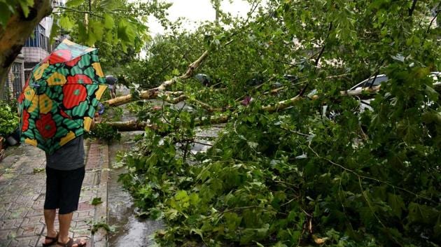 A man holding an umbrella stands near a fallen tree after Typhoon Lekima made landfall in Wenling, Zhejiang province. In Zhejiang province alone, nearly 300 flights were cancelled, and ferry and rail services were suspended as a precaution. Around 300,000 people were relocated in Shanghai, where the high-speed maglev train that links the city to one of its airports was suspended. (REUTERS)