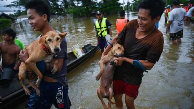 Residents carry their dogs to a boat . About two-thirds of the state’s Ye township remained flooded, an administrator said, as drone footage showed only the tops of houses, tree branches and satellite dishes poking above the waters. (Sai Aung Main / AFP) Residents carry their dogs to a boat . About two-thirds of the state’s Ye township remained flooded, an administrator said, as drone footage showed only the tops of houses, tree branches and satellite dishes poking above the waters. (Sai Aung Main / AFP)