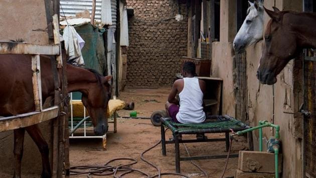 A young man who lives and works at the stables sits on a bed outside his room, at the Equestrian Club, in Khartoum. (Andreea Campeanu / REUTERS) A young man who lives and works at the stables sits on a bed outside his room, at the Equestrian Club, in Khartoum. (Andreea Campeanu / REUTERS)