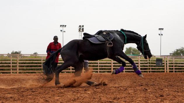 A Sudanese man trains a horse at the Equestrian Club in Khartoum. The club was founded in 1908 under British colonial rule but betting on horse races ended in 1983 when sharia (Islamic law) took effect. Before being halted, horse races were run through sponsorships and some 200 horses are kept in the club’s stables. (Andreea Campeanu / REUTERS) A Sudanese man trains a horse at the Equestrian Club in Khartoum. The club was founded in 1908 under British colonial rule but betting on horse races ended in 1983 when sharia (Islamic law) took effect. Before being halted, horse races were run through sponsorships and some 200 horses are kept in the club’s stables. (Andreea Campeanu / REUTERS)