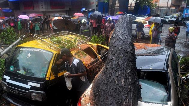 Two cars damaged after a tree fell down on them following the heavy rainfall at Sion Koliwada Punjabi Camp in Mumbai last month. (ANI Photo/For Representative Purposes) Two cars damaged after a tree fell down on them following the heavy rainfall at Sion Koliwada Punjabi Camp in Mumbai last month. (ANI Photo/For Representative Purposes)