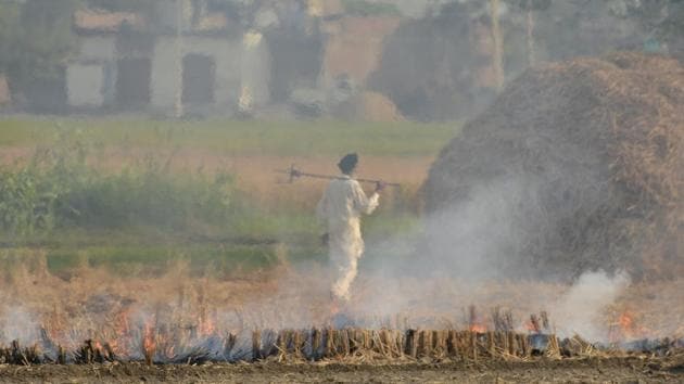 A farmer walks back after burning paddy crop stubble on the outskirts of Amritsar, Punjab.(AP file photo)