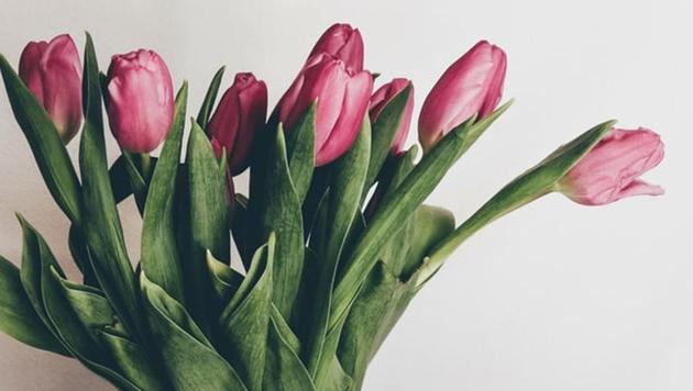 If you want to know what a large set of data points feels like, try carrying 500 tulips through the streets of the Netherlands. (Unsplash) If you want to know what a large set of data points feels like, try carrying 500 tulips through the streets of the Netherlands. (Unsplash)