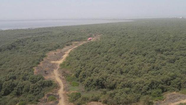 The project is passing through mangroves and their 50m buffer zone area close to the Karanja creek.(HT File / Representative Photo) The project is passing through mangroves and their 50m buffer zone area close to the Karanja creek.(HT File / Representative Photo)