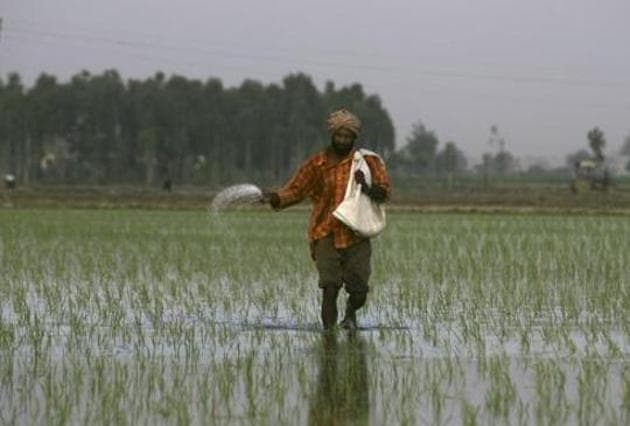 The scheme, supposed to be a centrally-sponsored one, was to be implemented through the PDS system by the states. While the Centre agreed to a 75:25 ratio of financial responsibility, and 90:10 in the case of Northeastern states, ministry officials said that states spoke of many roadblocks. (AP) The scheme, supposed to be a centrally-sponsored one, was to be implemented through the PDS system by the states. While the Centre agreed to a 75:25 ratio of financial responsibility, and 90:10 in the case of Northeastern states, ministry officials said that states spoke of many roadblocks. (AP)