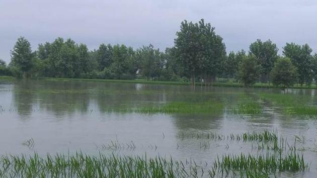 Flooded Sutlej entered several villages of Anandpur Sahib sub-division.(HT photo)