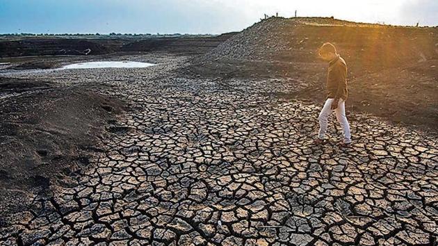 Despite receiving excess rainfall, majority parts of the state, including Marathwada and Vidarbha have remained dry.(PICTURE FOR REPRESENTATIONAL PURPOSES ONLY)