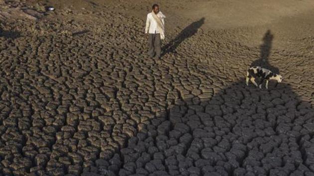 The dried up Bendsura Dam near Beed in Marathwada.(Hindustan Times)