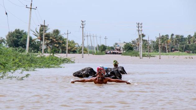 A farmer helps his cattle to wade through floodwaters across a road near Jamkhandi Taluk at Belgaum district of Karnataka. (AFP) A farmer helps his cattle to wade through floodwaters across a road near Jamkhandi Taluk at Belgaum district of Karnataka. (AFP)