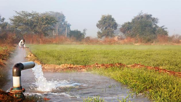 Narendra Modi government is set to unveil a series of measures to reduce water consumption in India’s agriculture sector(Getty Images/iStockphoto(Representative Image))