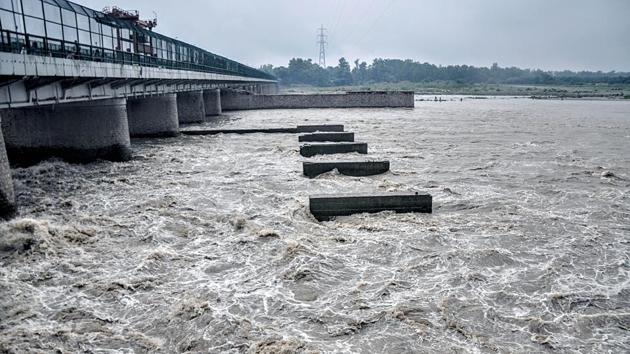 Water level in Yamuna river rises after the water released from Hathnikund Barrage, in New Delhi.(ANI File Photo)
