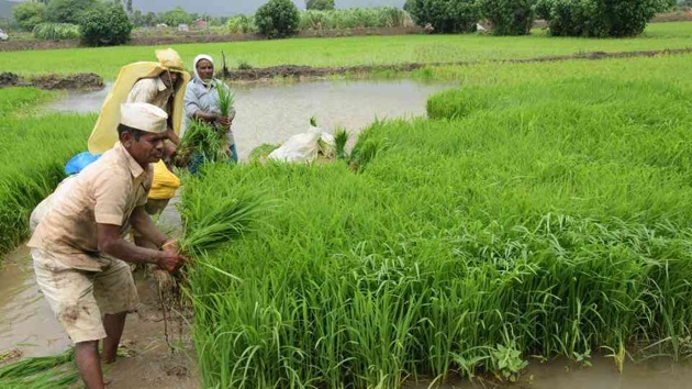 Besides an ex-gratia of Rs 5 lakh to the victim’s next of kin, medical help to the injured and temporary shelter that has already been extended to flood-affected people, the state announced a package. (HT image) Besides an ex-gratia of Rs 5 lakh to the victim’s next of kin, medical help to the injured and temporary shelter that has already been extended to flood-affected people, the state announced a package. (HT image)