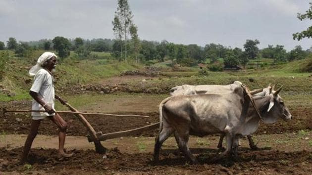 The Haryana government has directed the deputy commissioners of all districts to expedite the process of verifying the data of 54 lakh households in the state.(HT File / Representative Photo)