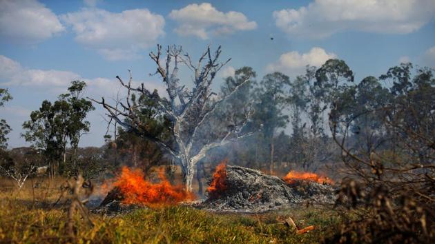 Forest fires tend to intensify during the dry season, which usually ends in late October or early November, as land is cleared to make way for crops or grazing. (Adriano Machado / REUTERS)