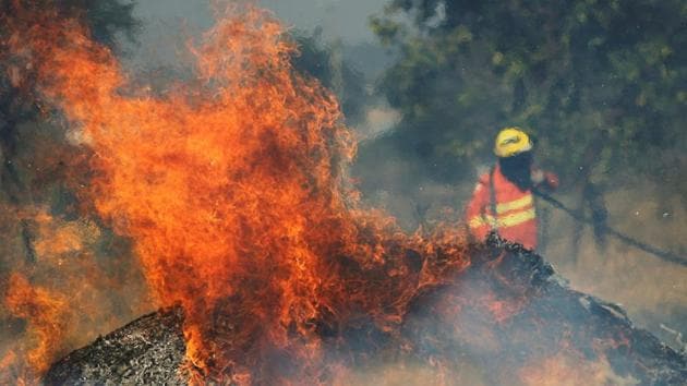 A firefighter attempts to extinguish flames during the dry season in Brasilia. Thick smoke has blanketed several cities in recent days and even caused a commercial flight to be diverted. (Adriano Machado / REUTERS)