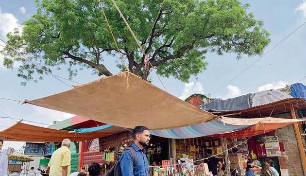 The shrine’s rose seller claims that the neem tree at the dargah is more than 500 years old.(HT Photo)