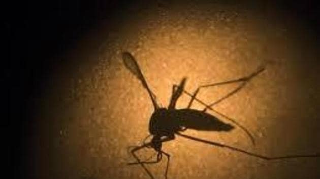 NDMC officials said cases of mosquito breeding have increased during the monsoon and so the civic agency was taking steps other than anti-larva measures and fogging to prevent mosquito breeding. (FILE) NDMC officials said cases of mosquito breeding have increased during the monsoon and so the civic agency was taking steps other than anti-larva measures and fogging to prevent mosquito breeding. (FILE)