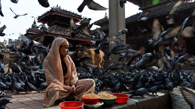 A girl waits for customers to sell grains to feed pigeons at Basantapur Durbar Square in Kathmandu, Nepal. (Prakash Mathema / AFP) A girl waits for customers to sell grains to feed pigeons at Basantapur Durbar Square in Kathmandu, Nepal. (Prakash Mathema / AFP)