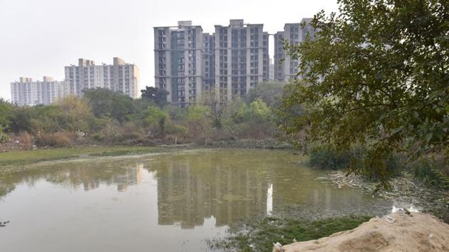 A water body in Gurugram. (HT FILE) A water body in Gurugram. (HT FILE)