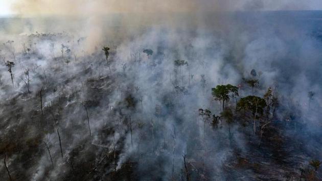 An aerial view of forest fire of the Amazon taken with a drone.(Reuters Image)
