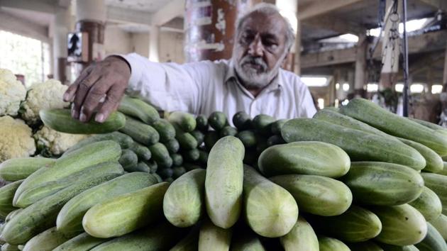 Cucumbers are now retailing wholesale at ₹80-120 per 10kg in the city. (Ravindra Joshi/HT PHOTO) Cucumbers are now retailing wholesale at ₹80-120 per 10kg in the city. (Ravindra Joshi/HT PHOTO)