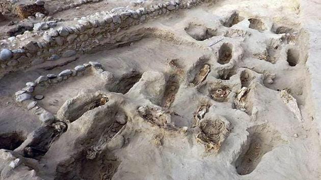 The children who were aged between four and 14, were sacrificed in a ritual to honor the Chimu culture’s gods. (Kashf Rana Twitter) The children who were aged between four and 14, were sacrificed in a ritual to honor the Chimu culture’s gods. (Kashf Rana Twitter)