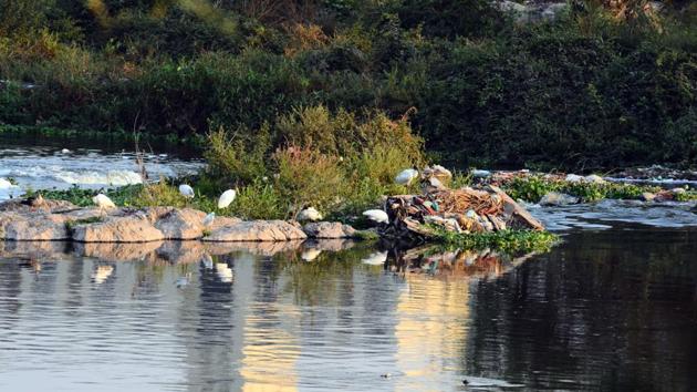 Sudhir Mungantiwar, state forest minister, has asked the PMC to minimise the damage being caused to the Salim Ali Bird Sanctuary in the city during the ongoing developmental works (HT/PHOTO) Sudhir Mungantiwar, state forest minister, has asked the PMC to minimise the damage being caused to the Salim Ali Bird Sanctuary in the city during the ongoing developmental works (HT/PHOTO)