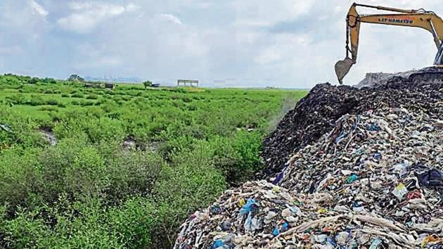 The garbage dumped in mangroves near Hanuman Koliwada in Uran, Navi Mumbai.(HT Photo)
